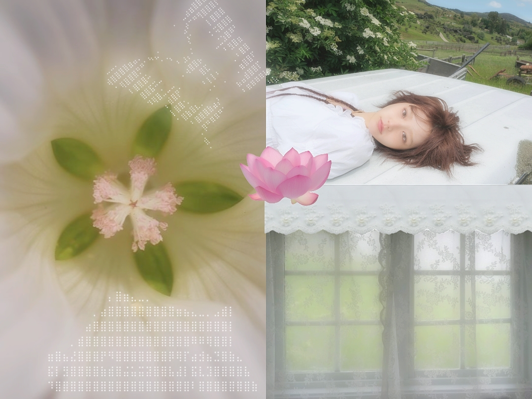 dreamy filt!
