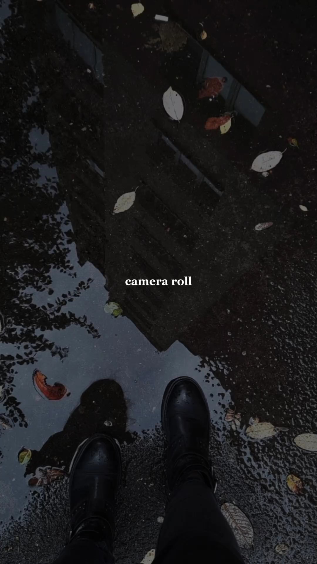 camera roll. 