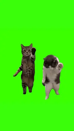 Stranger Things Cats