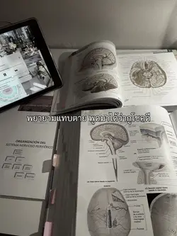 พยายาม…