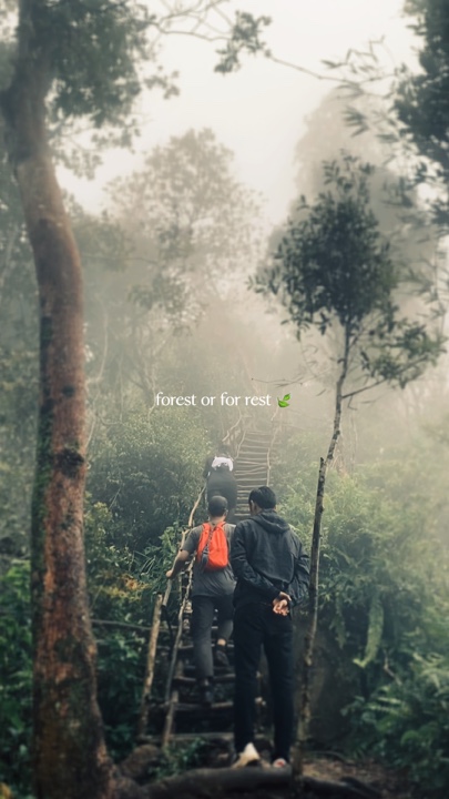 Cinematic Adventure 