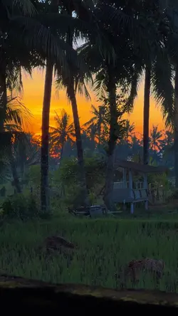 sunrise estetik