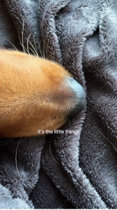 Muy lindo