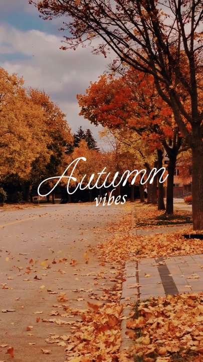 Herbst-Vlog