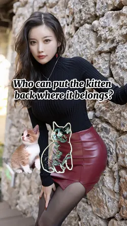 catch kitten