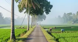 suasana di pedesaan