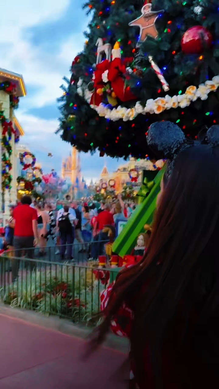 disneyland trip