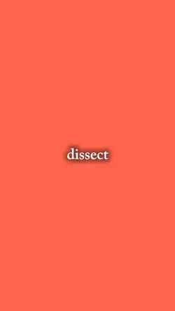 insecurities