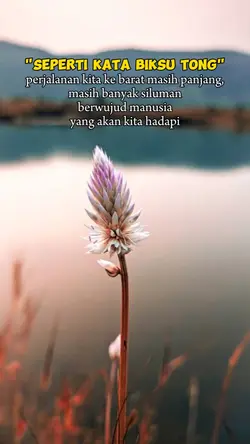 quotes