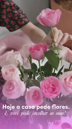 MODELO FLORICULTURA 