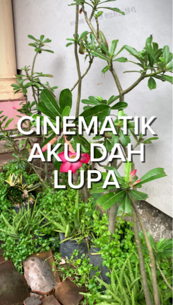 aku dah lupa cinema
