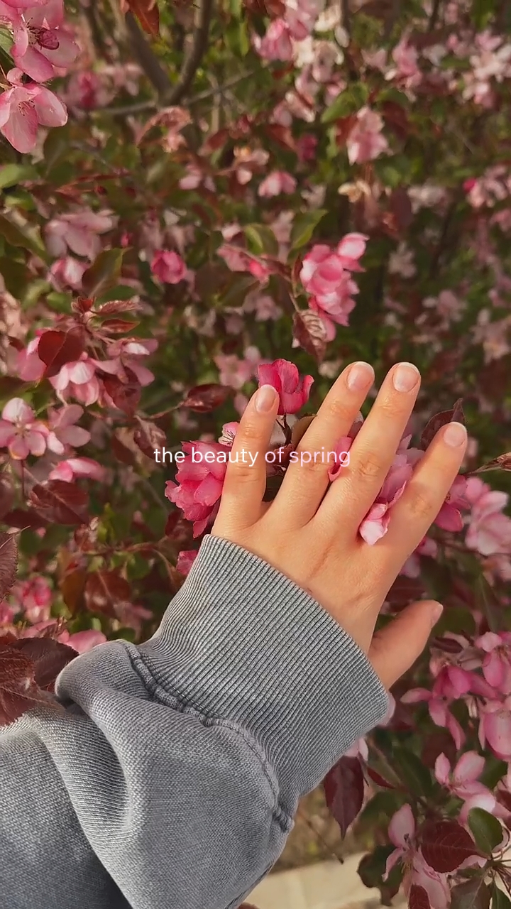 La belleza de la primavera