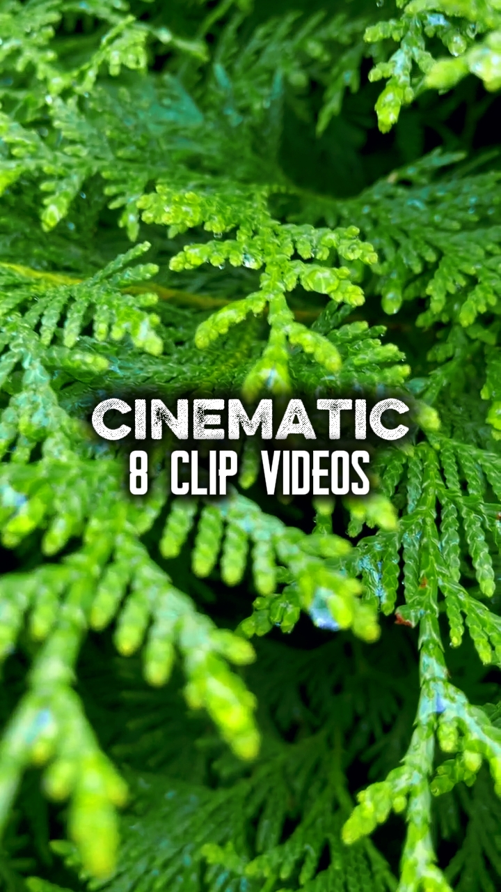 8 clip videos