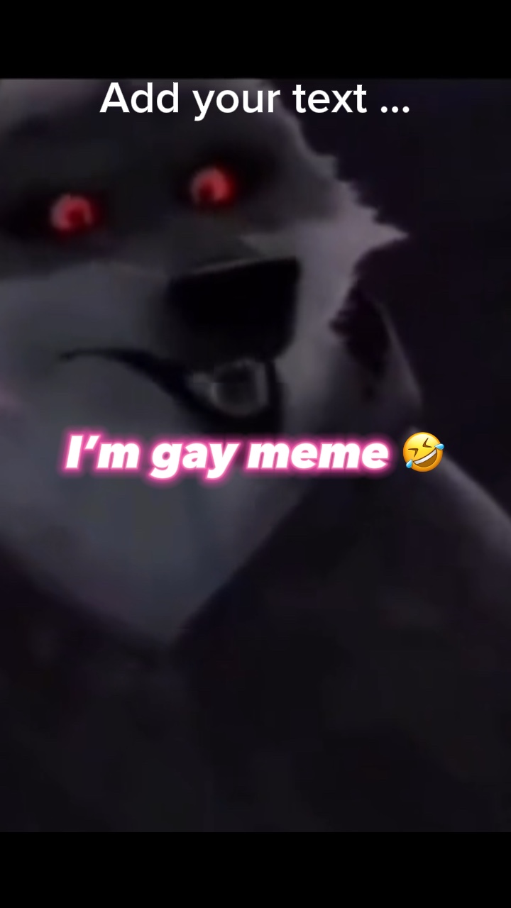 I’m gay meme 🤣