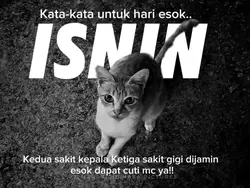 ISNIN