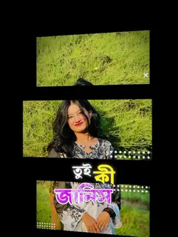 New Trend Template ツ