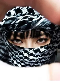 habibi