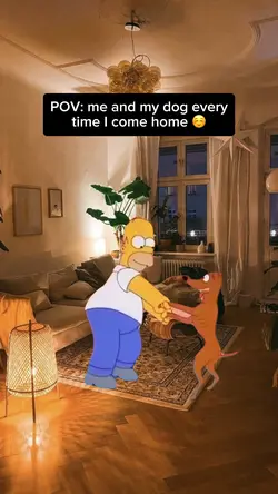 Homer & Dog Dance 