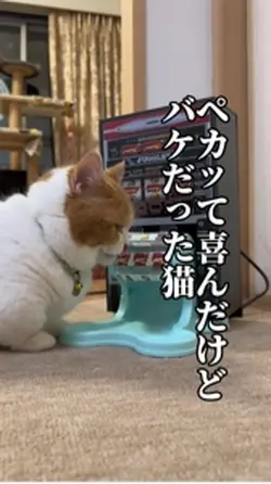 か