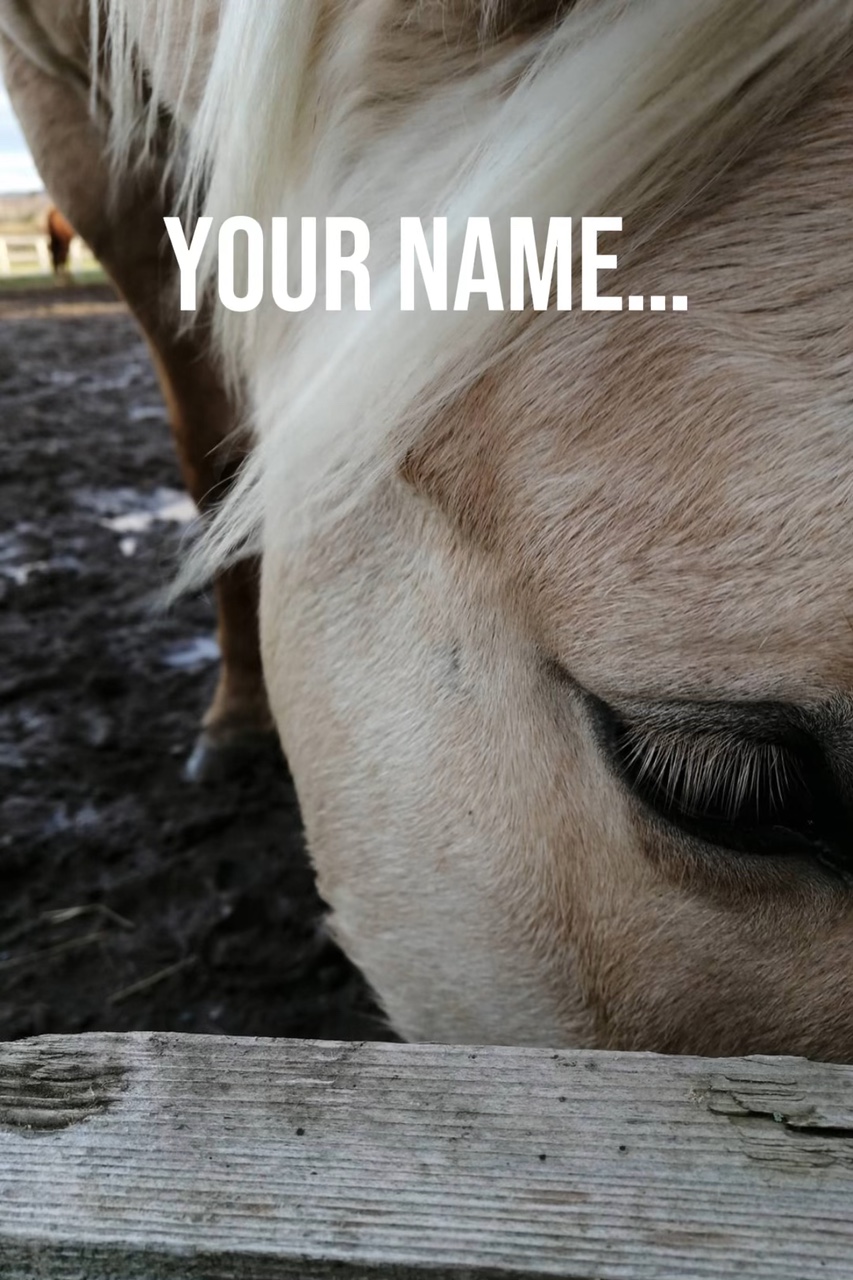 Your name your horse