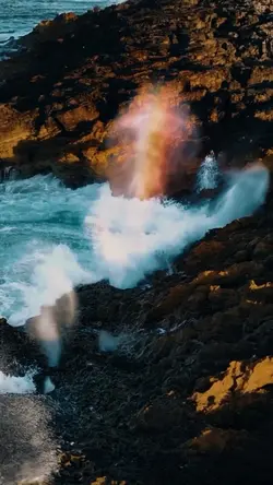 Adventure Cinematic 