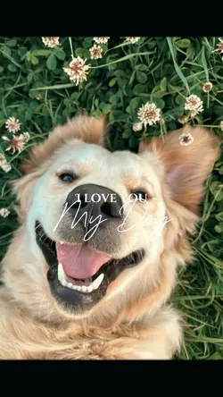 I love you, Dog