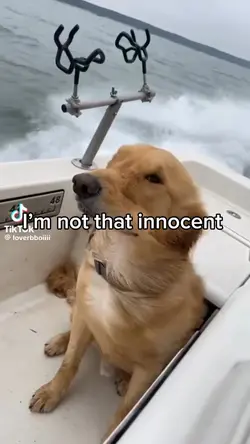 Im not that innocent