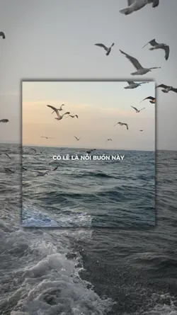 Có lẽ là nỗi buồn 
