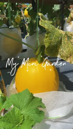 Mini Garden Vlog 🪴