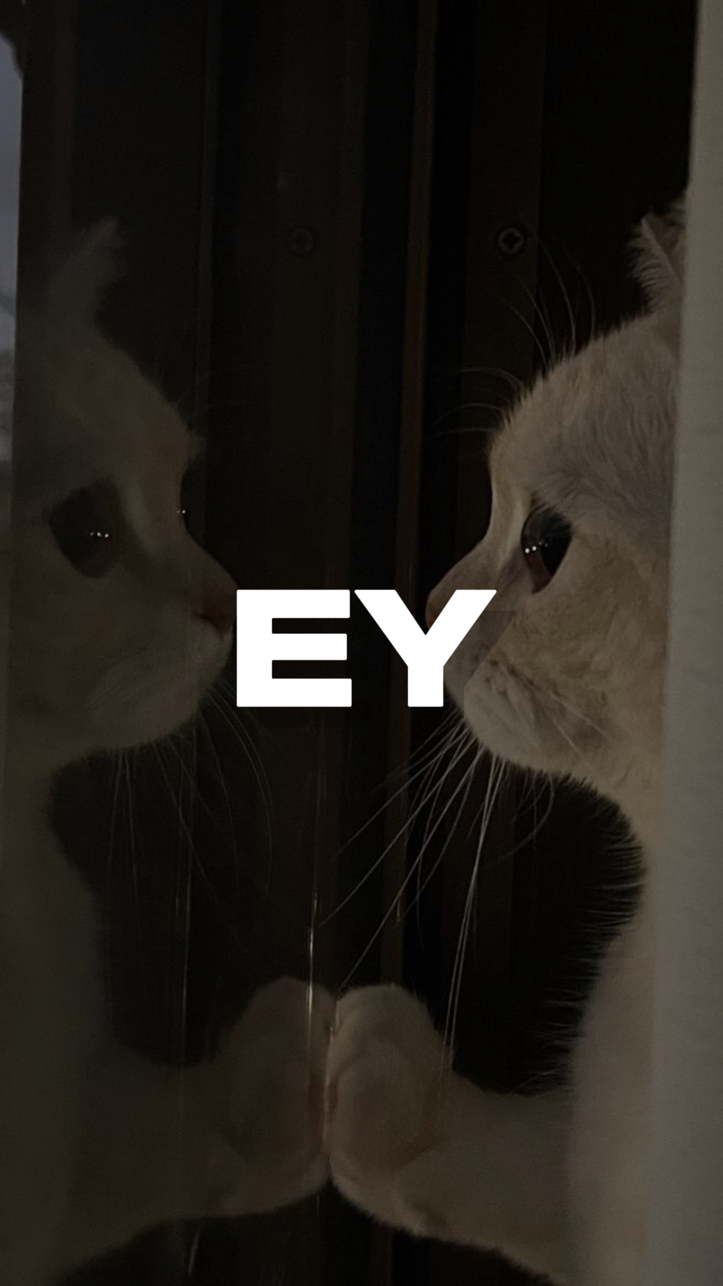 Nhạc đã lên thì sao 