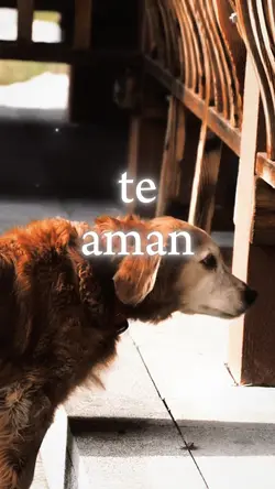 🐾 Ellos te aman