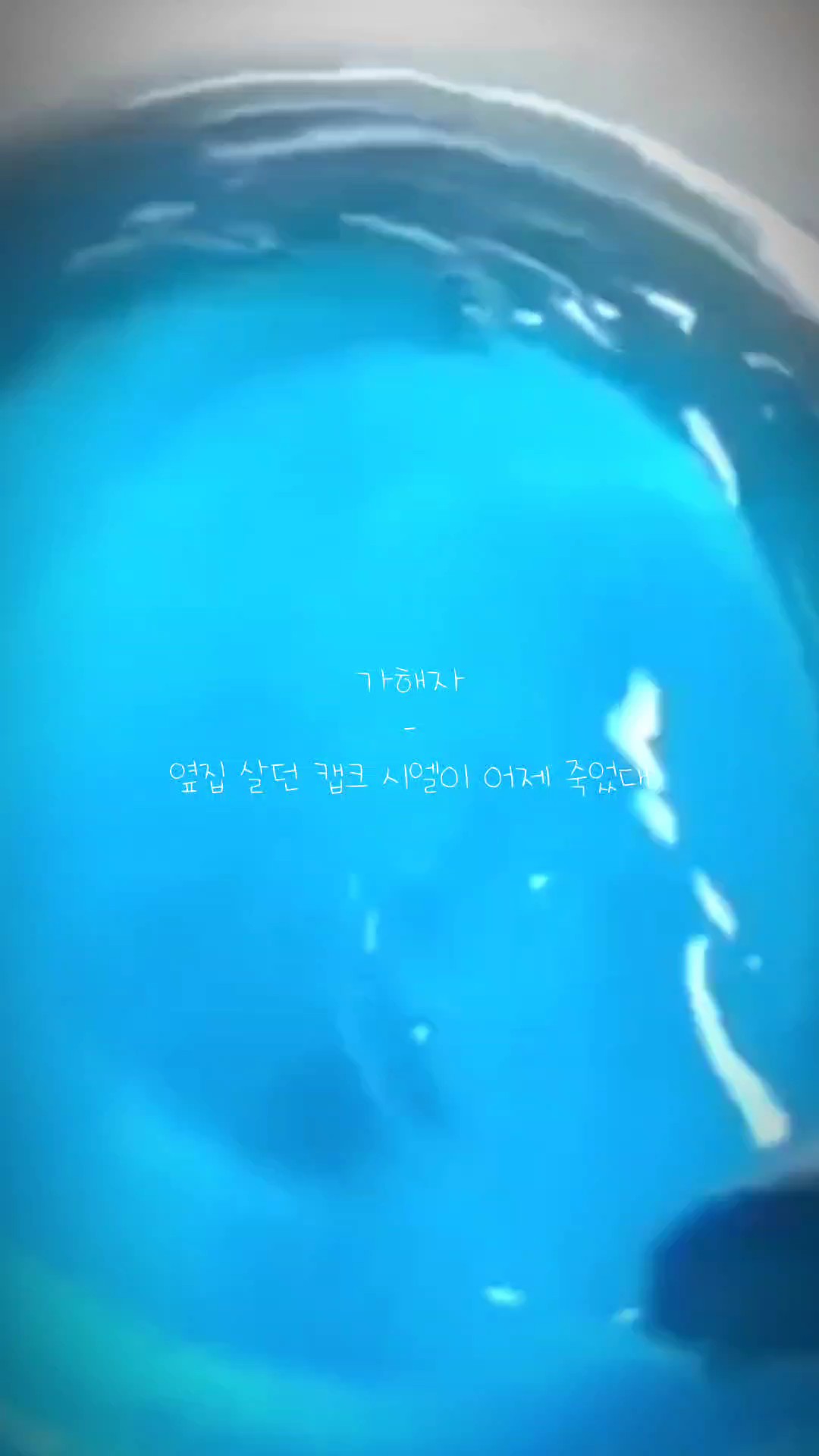 선풍기 때문이네