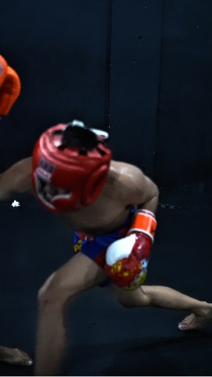 Fighter