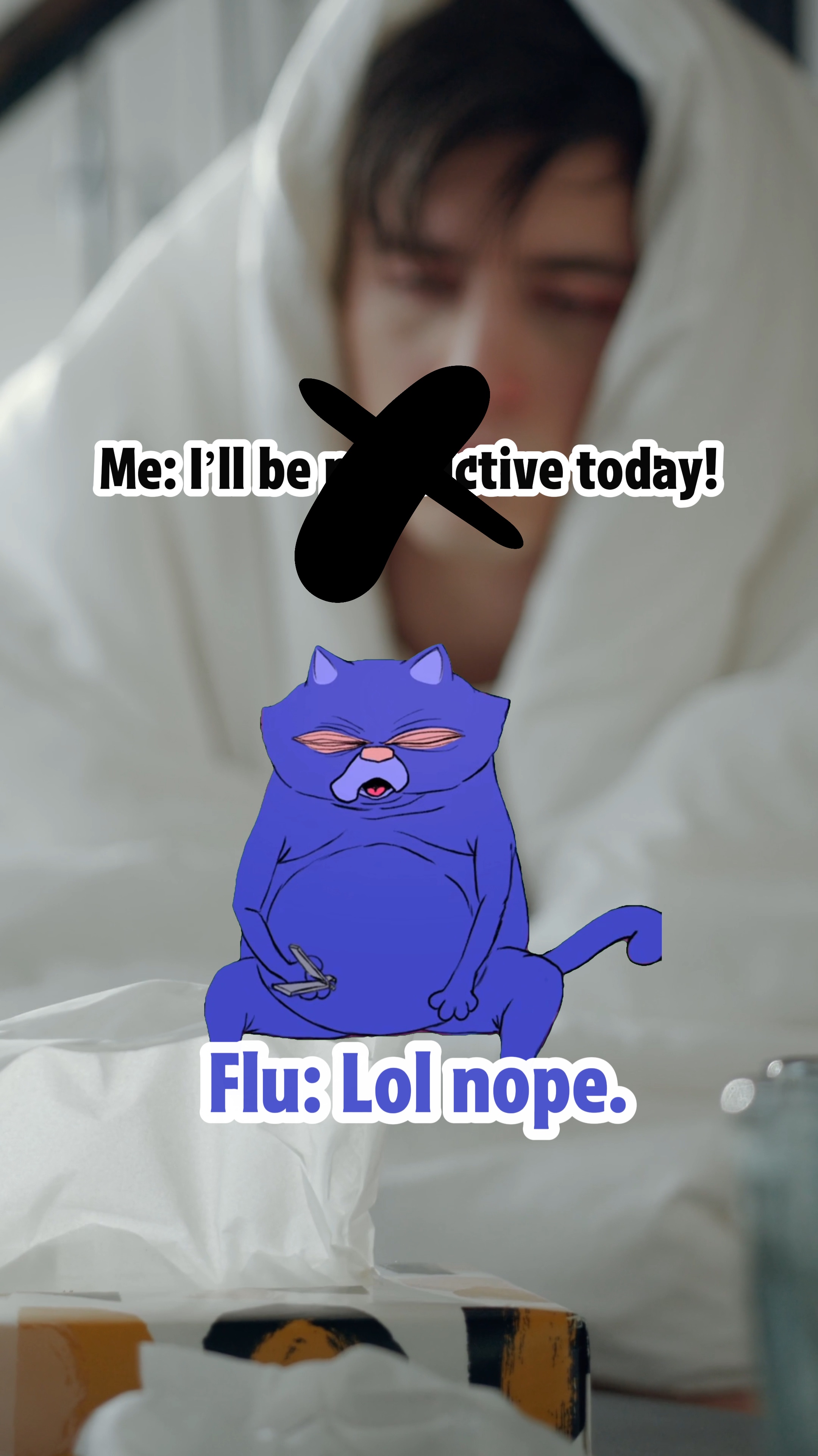 Grip kedi meme
