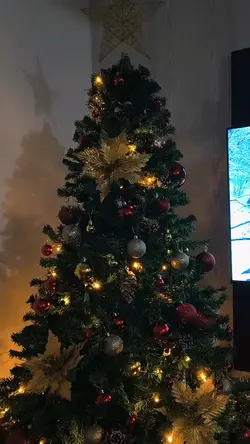 Natal🎄