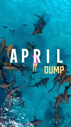 April dump