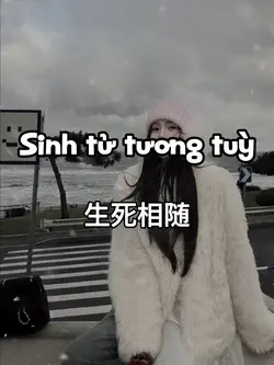 生死相随