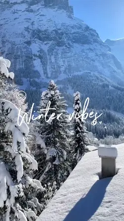 Winter vibes