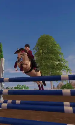 Gotland Pony