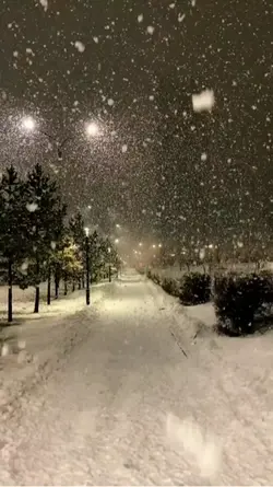 Kar şablonu
