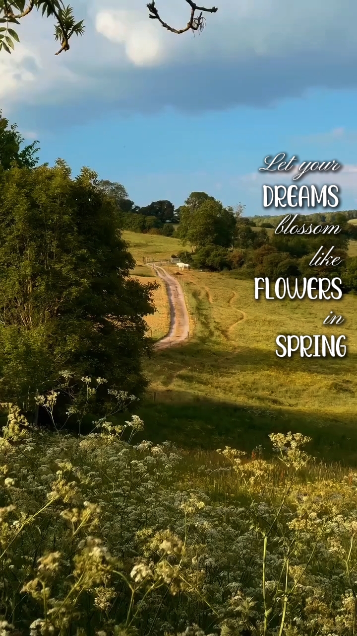 flowers in spring