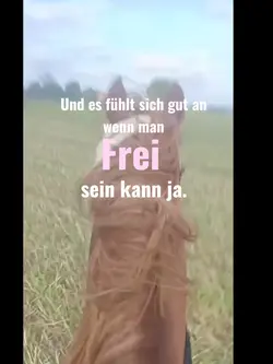 FREI SEINNNN