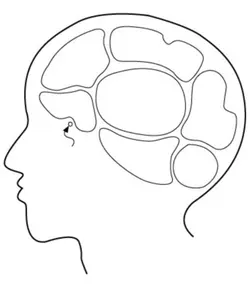 내 뇌속 생각ㅋㅋ