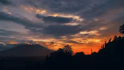 IDUL ADHA