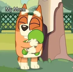Bingo 🧡