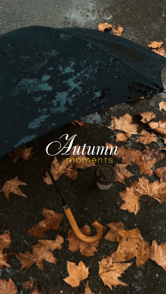 Autumn Moments