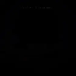 mirrors demo