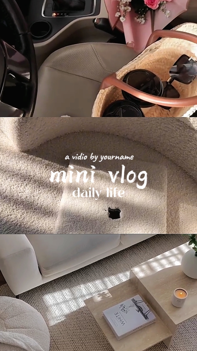 Mini-Vlog