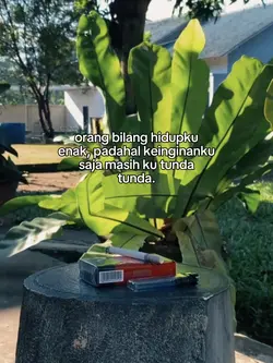 Orang bilang hidupku