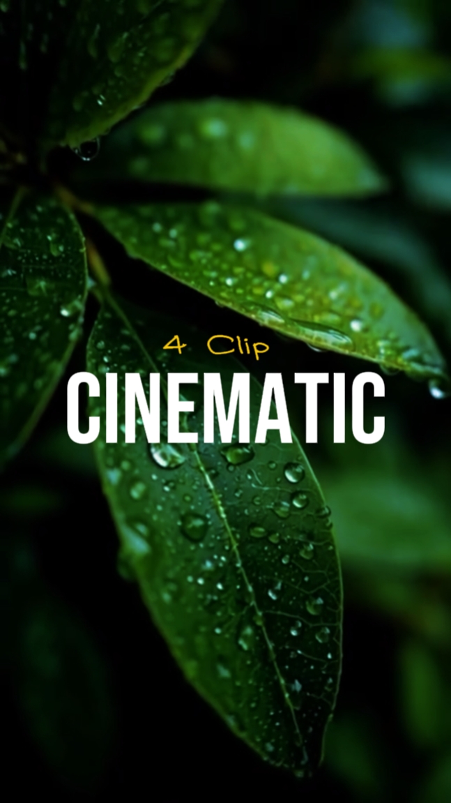 4 clip cinematic